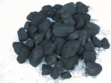 Ceviz Kömür Image